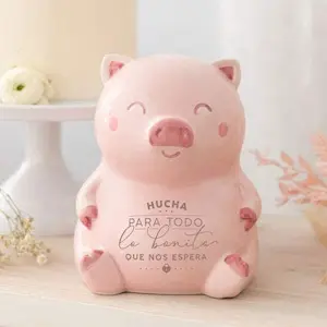 regala la hucha cerdito mr wonderful