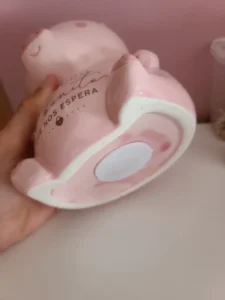 hucha cerdito mr wonderful resistente