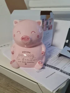 hucha cerdito mr wonderful regalo aniversario