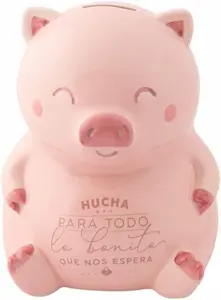 hucha cerdito mr wonderful para todo lo bonito que nos espera